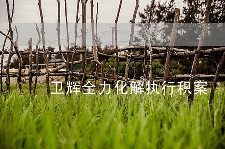 卫辉全力化解执行积案