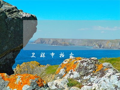 卫辉市拍卖 卫辉市拍卖