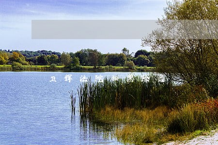 卫辉法院扫黑除恶 卫辉法院扫黑除恶