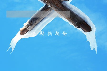 卫逾期拍拍贷 卫逾期拍拍贷