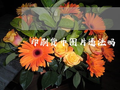印刷货币图片违法吗