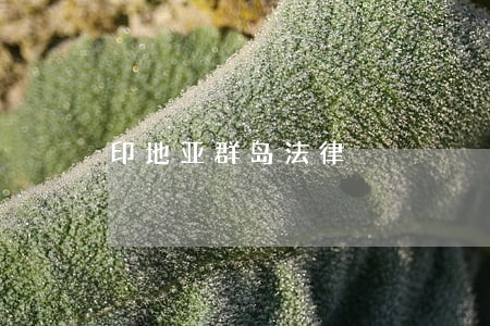 印地亚群岛法律
