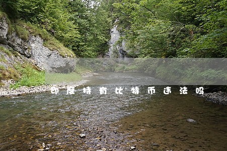 印度持有比特币违法吗 印度持有比特币违法吗
