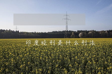 印度绞刑是什么刑法 印度绞刑是什么刑法