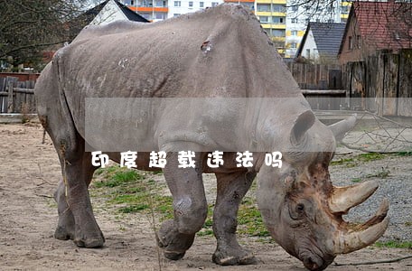 印度超载违法吗