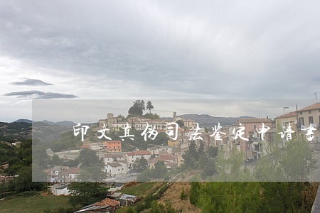 印文真伪司法鉴定申请书 印文真伪司法鉴定申请书
