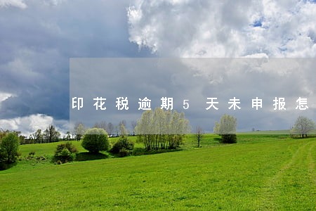 印花税逾期5天未申报怎么办 印花税逾期5天未申报怎么办