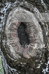 印花税逾期申报5天了怎么办