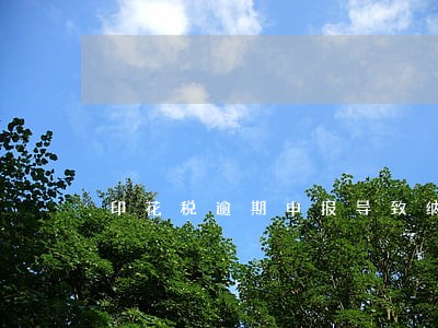 印花税逾期申报导致纳税信用评级 印花税逾期申报导致纳税信用评级