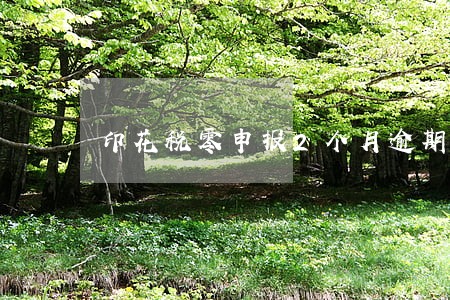 印花税零申报2个月逾期 印花税零申报2个月逾期