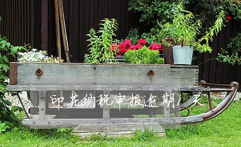 印花纳税申报逾期1天 印花纳税申报逾期1天