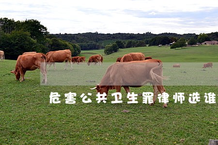 危害公共卫生罪律师选谁 危害公共卫生罪律师选谁