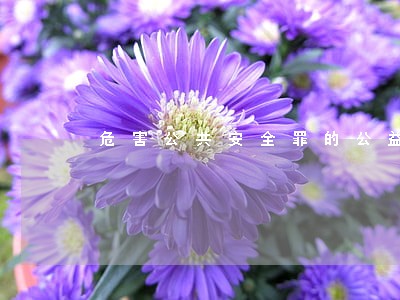 危害公共安全罪的公益诉讼书 危害公共安全罪的公益诉讼书