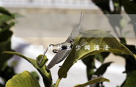 危废转移多少吨违法 危废转移多少吨违法