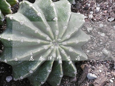 危房律师咨询 危房律师咨询