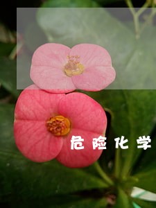 危险化学品的法律法规 危险化学品的法律法规