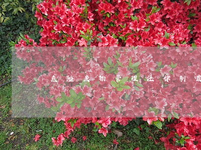 危险废物管理法律制度比较研究 危险废物管理法律制度比较研究