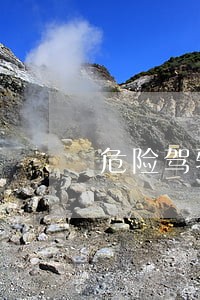 危险驾驶四要件
