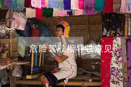 危险驾驶指导性意见