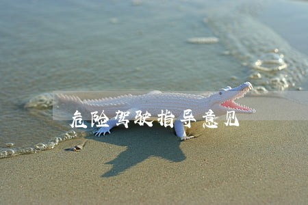 危险驾驶指导意见