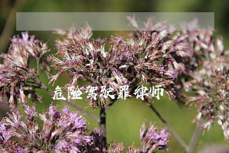 危险驾驶罪律师