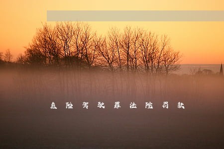 危险驾驶罪法院罚款 危险驾驶罪法院罚款