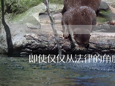 即使仅仅从法律的角度来看 即使仅仅从法律的角度来看