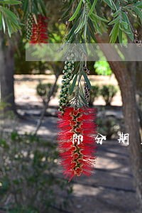 即分期美容贷款逾期150天 即分期美容贷款逾期150天