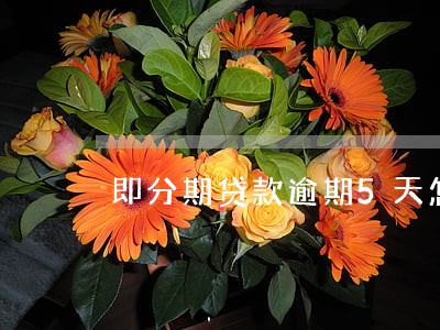 即分期贷款逾期5天怎么办 即分期贷款逾期5天怎么办
