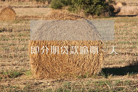即分期贷款逾期一天 即分期贷款逾期一天