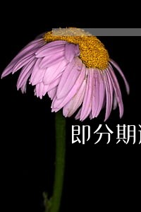 即分期逾期3个月了怎么办 即分期逾期3个月了怎么办