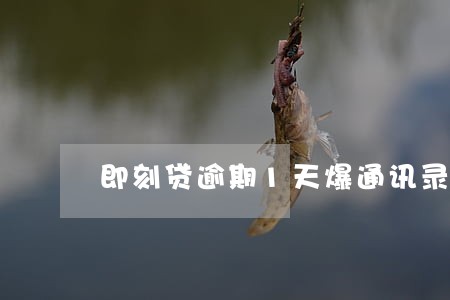 即刻贷逾期1天爆通讯录