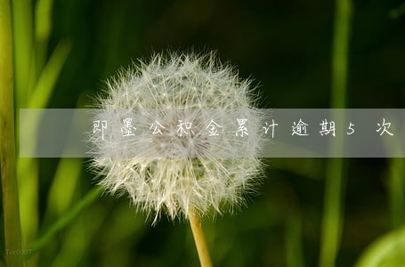 即墨公积金累计逾期5次 即墨公积金累计逾期5次