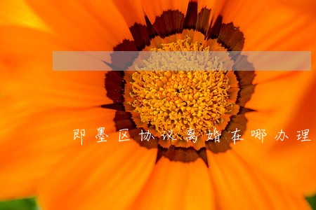 即墨区协议离婚在哪办理