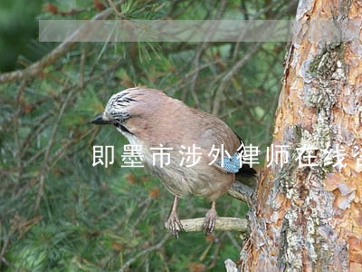 即墨市涉外律师在线咨询 即墨市涉外律师在线咨询