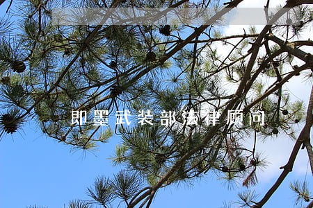 即墨武装部法律顾问