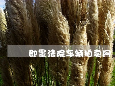 即墨法院车辆拍卖网 即墨法院车辆拍卖网