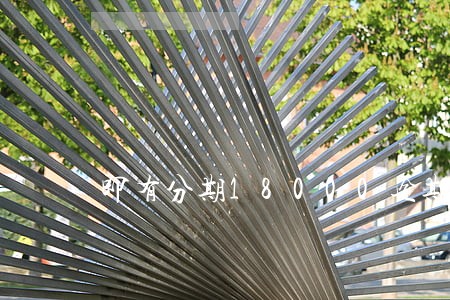即有分期18000逾期一年 即有分期18000逾期一年