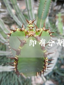 即有分期只还本金不还利息 即有分期只还本金不还利息