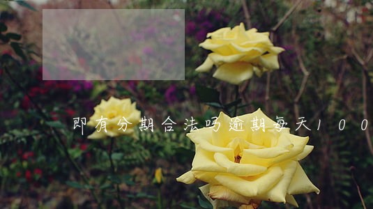 即有分期合法吗逾期每天100 即有分期合法吗逾期每天100