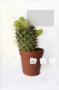即有分期收到法院通知函