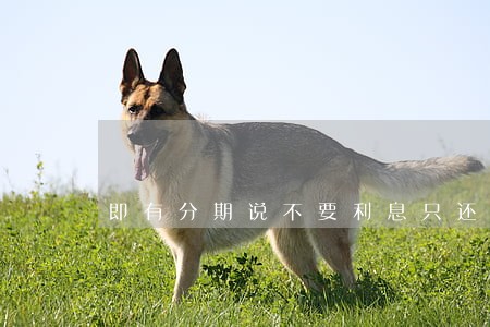 即有分期说不要利息只还本金 即有分期说不要利息只还本金