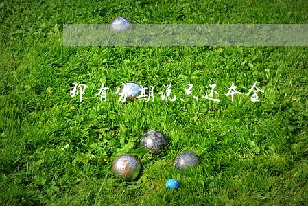即有分期说只还本金 即有分期说只还本金