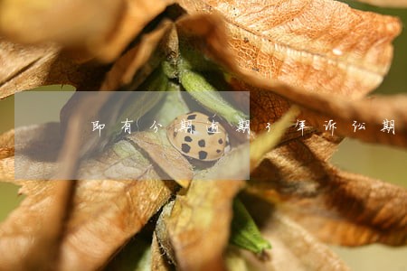即有分期逾期3年诉讼期是多久 即有分期逾期3年诉讼期是多久
