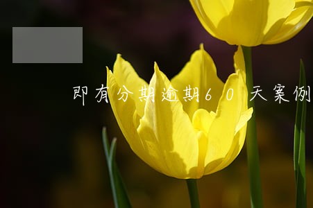 即有分期逾期60天案例6 即有分期逾期60天案例6