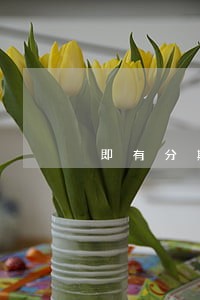 即有分期逾期了25天已经立案