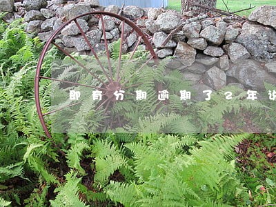 即有分期逾期了2年说要申请仲裁 即有分期逾期了2年说要申请仲裁