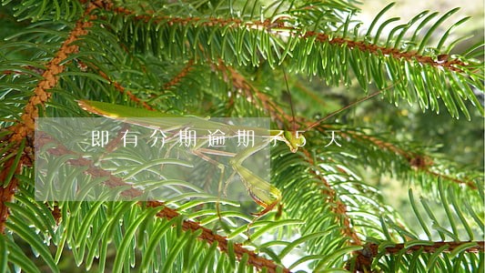 即有分期逾期了5天 即有分期逾期了5天