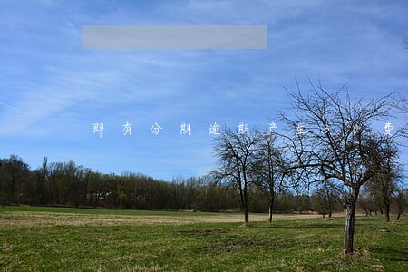 即有分期逾期产生30费用