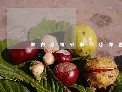即有手机分期只还本金